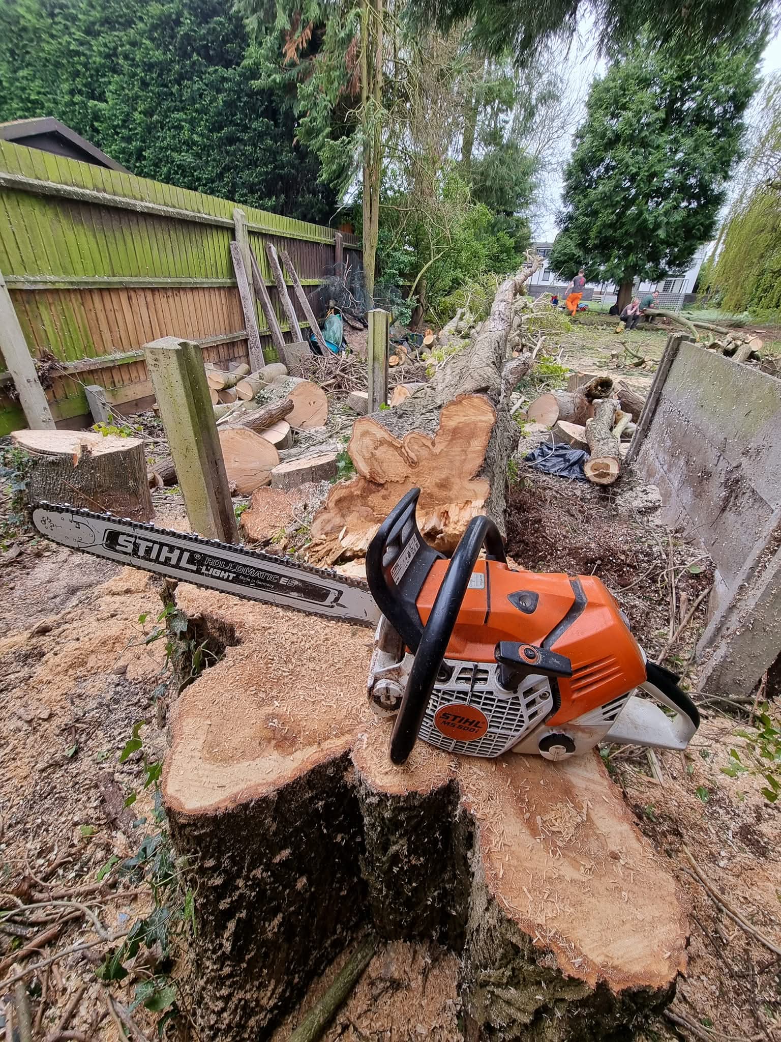 Tree Felling & Removal